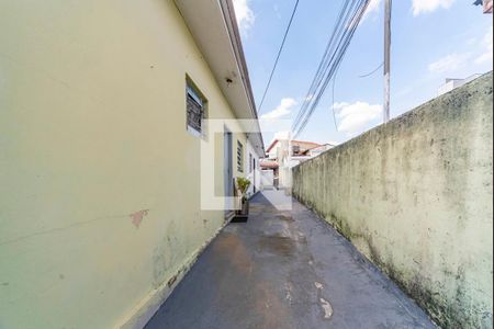 Casa à venda com 430m², 5 quartos e 3 vagas Casa à venda com 430m², 5 quartos e 3 vagasQuintal Lateral
