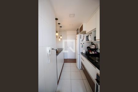Cozinha de apartamento para alugar com 3 quartos, 64m² em Vila Praia, São Paulo