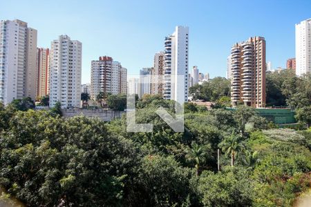 Vista - Varanda da Sala de apartamento para alugar com 3 quartos, 64m² em Vila Praia, São Paulo