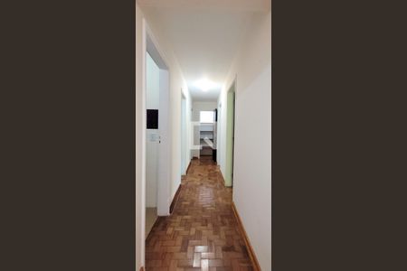 Corredor de apartamento para alugar com 3 quartos, 98m² em Nova Campinas, Campinas