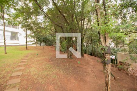 Apartamento para alugar com 70m², 2 quartos e 1 vagaBosque