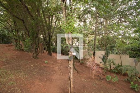 Apartamento para alugar com 70m², 2 quartos e 1 vagaBosque