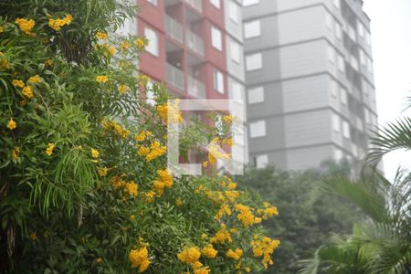 Apartamento à venda com 61m², 3 quartos e 1 vagaÁrea Comum