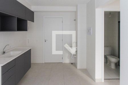 Cozinha de apartamento para alugar com 2 quartos, 35m² em Vila Ivone, São Paulo