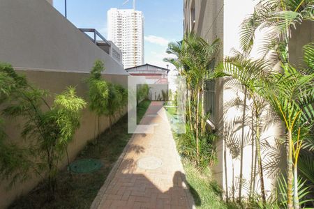 Apartamento para alugar com 35m², 2 quartos e sem vagaÁrea comun