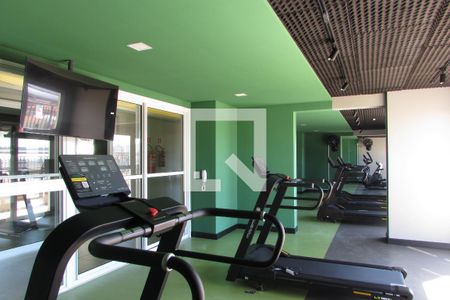 Apartamento para alugar com 31m², 1 quarto e sem vagaÁrea comum - Academia