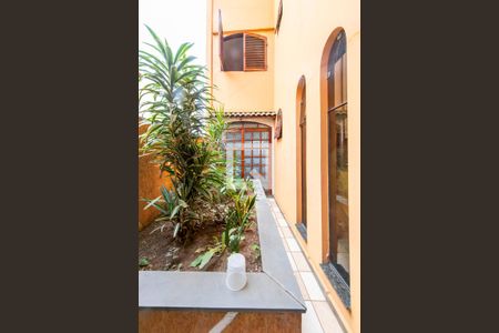 Jardim de Inverno  de casa para alugar com 3 quartos, 395m² em Vila Curuca, Santo André
