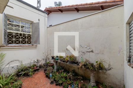 Casa à venda com 300m², 3 quartos e 3 vagasQuintal