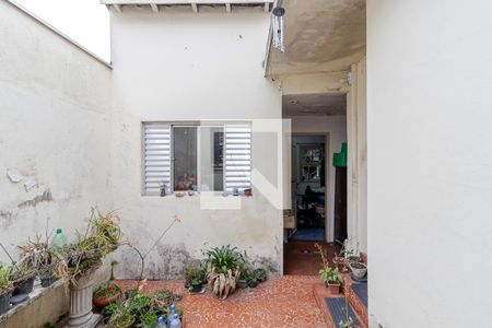 Casa à venda com 300m², 3 quartos e 3 vagasQuintal