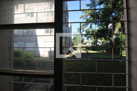 Vista do Quarto 1 de apartamento para alugar com 3 quartos, 85m² em Teresópolis, Porto Alegre