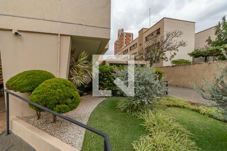 Area comum - Jardim de apartamento para alugar com 3 quartos, 116m² em Centro, Campinas