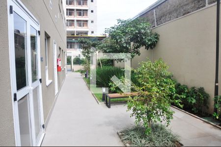 area de apartamento para alugar com 2 quartos, 32m² em Parada Inglesa, São Paulo