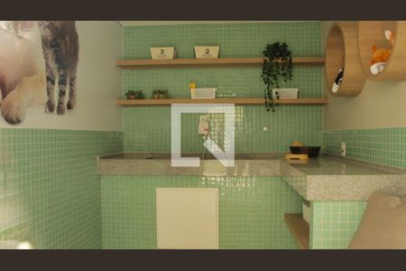 Apartamento para alugar com 25m², 1 quarto e sem vagaPet Care