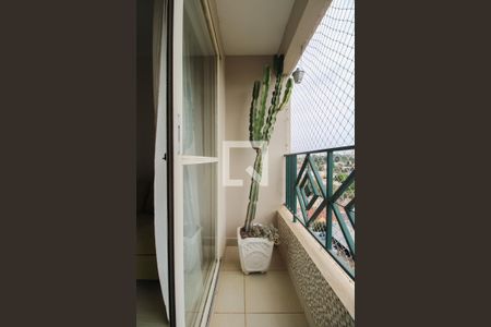 Varanda da Sala de Estar de apartamento para alugar com 3 quartos, 70m² em Vila Rossi, Campinas