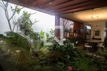 Sala - Jardim de Inverno de casa para alugar com 5 quartos, 350m² em Planalto Paulista, São Paulo
