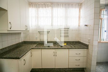 Cozinha de apartamento para alugar com 1 quarto, 160m² em Setor Habitacional Jardim Botânico, Brasília