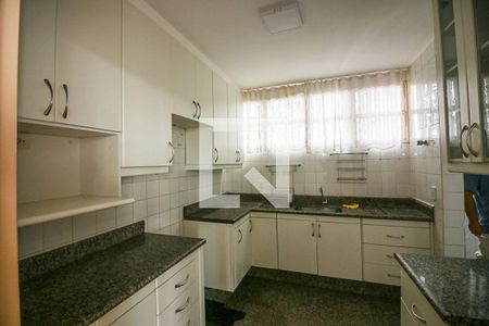 Cozinha de apartamento para alugar com 1 quarto, 160m² em Setor Habitacional Jardim Botânico, Brasília