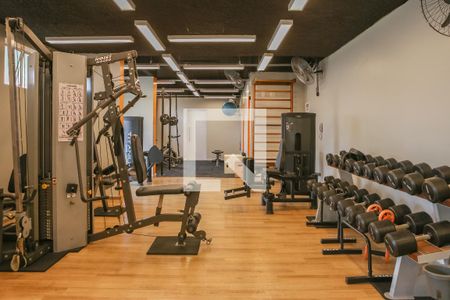 Apartamento para alugar com 47m², 2 quartos e 1 vaga Apartamento para alugar com 47m², 2 quartos e 1 vagaÁrea comum - Academia