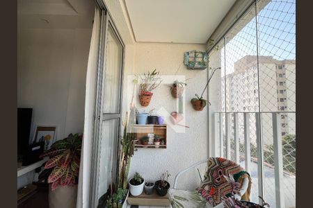 Varanda da Sala de apartamento para alugar com 3 quartos, 67m² em Vila Campestre, São Paulo