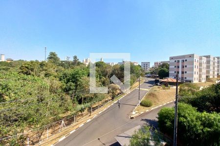 Vista do Quarto 2  de apartamento para alugar com 2 quartos, 47m² em Parque São Jorge, Campinas