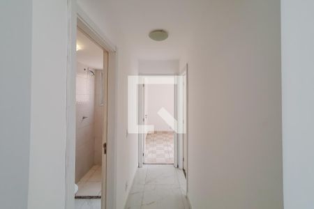 corredor de apartamento para alugar com 2 quartos, 46m² em Cambuci, São Paulo