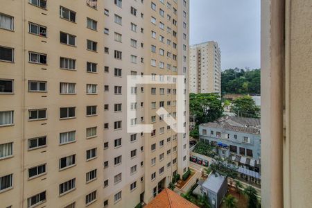 sala vista de apartamento para alugar com 2 quartos, 46m² em Cambuci, São Paulo