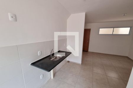 Cozinha - Lavanderia de apartamento para alugar com 2 quartos, 50m² em Subsetor Norte - 7 (n-7), Ribeirão Preto
