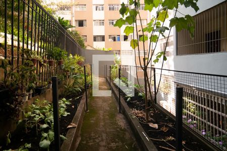 Apartamento para alugar com 55m², 1 quarto e sem vagaJardim