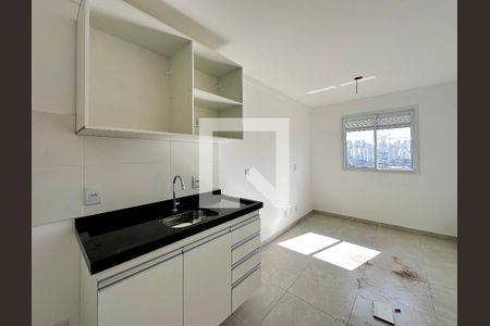 Cozinha de apartamento para alugar com 1 quarto, 24m² em Jardim Monte Azul, São Paulo