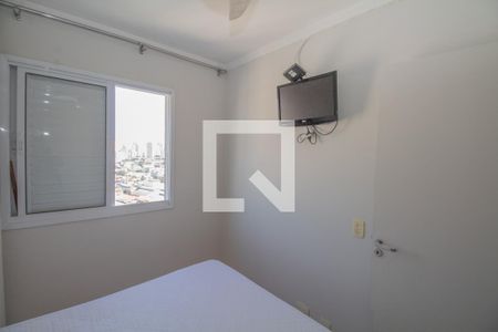 Apartamento para alugar com 1 quarto, 34m² em Cambuci, São Paulo