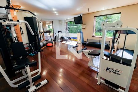 Área comum - Academia de apartamento para alugar com 5 quartos, 259m² em Jardim Vitoria Regia, São Paulo