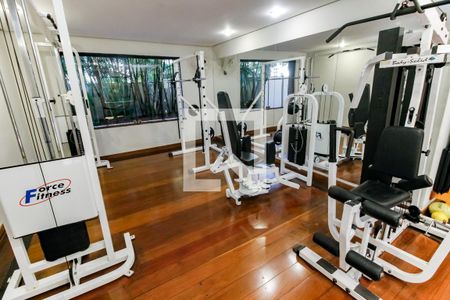 Área comum - Academia de apartamento para alugar com 5 quartos, 259m² em Jardim Vitoria Regia, São Paulo