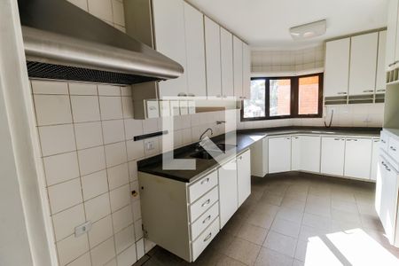 Apartamento para alugar com 259m², 5 quartos e 4 vagas Apartamento para alugar com 259m², 5 quartos e 4 vagasCozinha - Armários