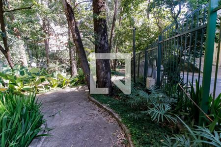 Apartamento para alugar com 259m², 5 quartos e 4 vagas Apartamento para alugar com 259m², 5 quartos e 4 vagasBosque