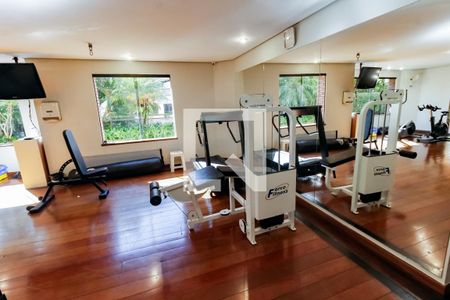 Apartamento para alugar com 259m², 5 quartos e 4 vagas Apartamento para alugar com 259m², 5 quartos e 4 vagasÁrea comum - Academia