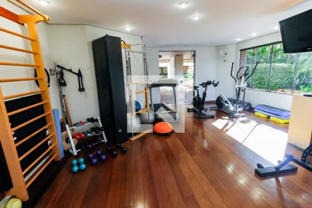 Área comum - Academia de apartamento para alugar com 5 quartos, 259m² em Jardim Vitoria Regia, São Paulo
