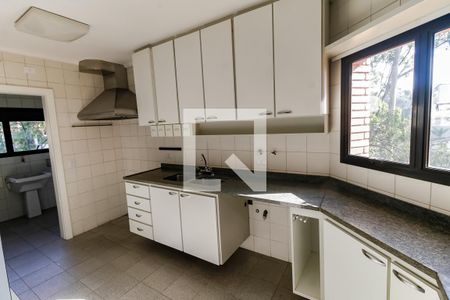 Cozinha - Armários de apartamento para alugar com 5 quartos, 259m² em Jardim Vitoria Regia, São Paulo