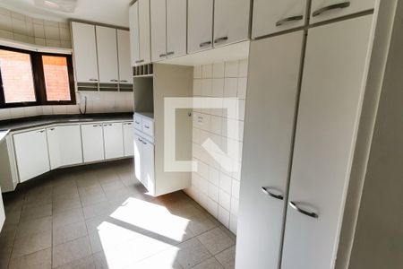 Apartamento para alugar com 259m², 5 quartos e 4 vagas Apartamento para alugar com 259m², 5 quartos e 4 vagasCozinha - Armários