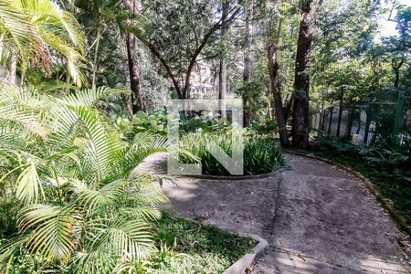 Apartamento para alugar com 259m², 5 quartos e 4 vagas Apartamento para alugar com 259m², 5 quartos e 4 vagasBosque