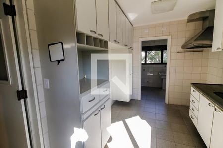 Apartamento para alugar com 259m², 5 quartos e 4 vagas Apartamento para alugar com 259m², 5 quartos e 4 vagasCozinha - Armários