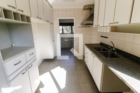 Apartamento para alugar com 259m², 5 quartos e 4 vagas Apartamento para alugar com 259m², 5 quartos e 4 vagasCozinha - Armários