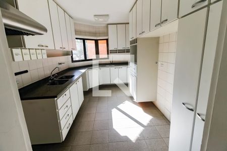 Apartamento para alugar com 259m², 5 quartos e 4 vagas Apartamento para alugar com 259m², 5 quartos e 4 vagasCozinha - Armários