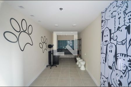Área comum - Espaço Pet Care de apartamento para alugar com 2 quartos, 53m² em São Cristóvão, Rio de Janeiro