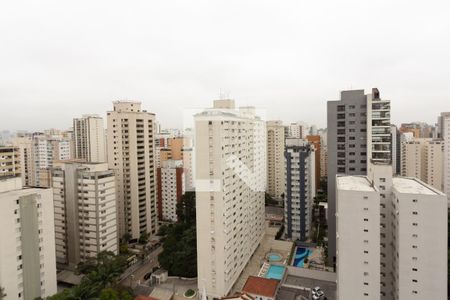 Vista de apartamento para alugar com 3 quartos, 250m² em Moema, São Paulo