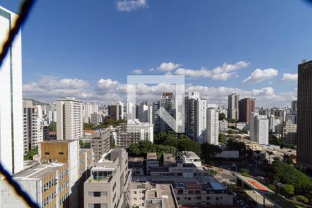 Vista da varanda da sala de apartamento à venda com 4 quartos, 184m² em Lourdes, Belo Horizonte