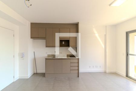 Cozinha de apartamento para alugar com 1 quarto, 45m² em Santa Ifigênia, São Paulo