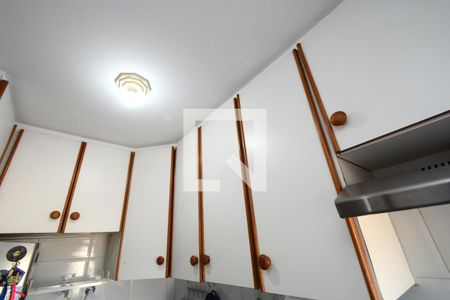 Detalhe da cozinha de apartamento para alugar com 2 quartos, 60m² em Jardim Ubirajara (zona Sul), São Paulo