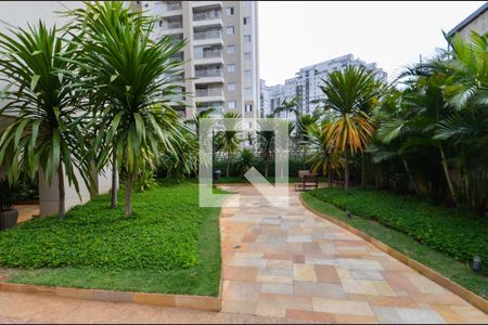 Apartamento para alugar com 60m², 2 quartos e 1 vaga Apartamento para alugar com 60m², 2 quartos e 1 vagaÁrea Externa