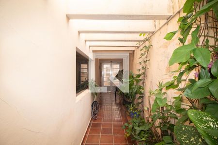 Casa à venda com 300m², 4 quartos e 3 vagasCorredor 