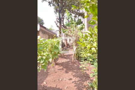 Casa à venda com 455m², 7 quartos e sem vagaÁrea comum